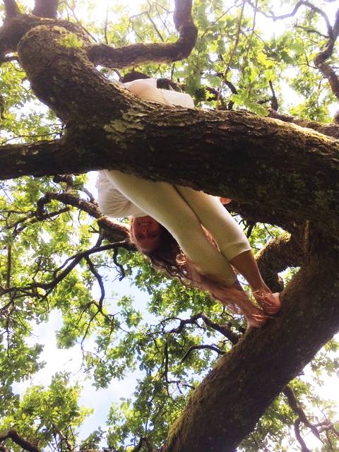 Looking Down in Tree(1)